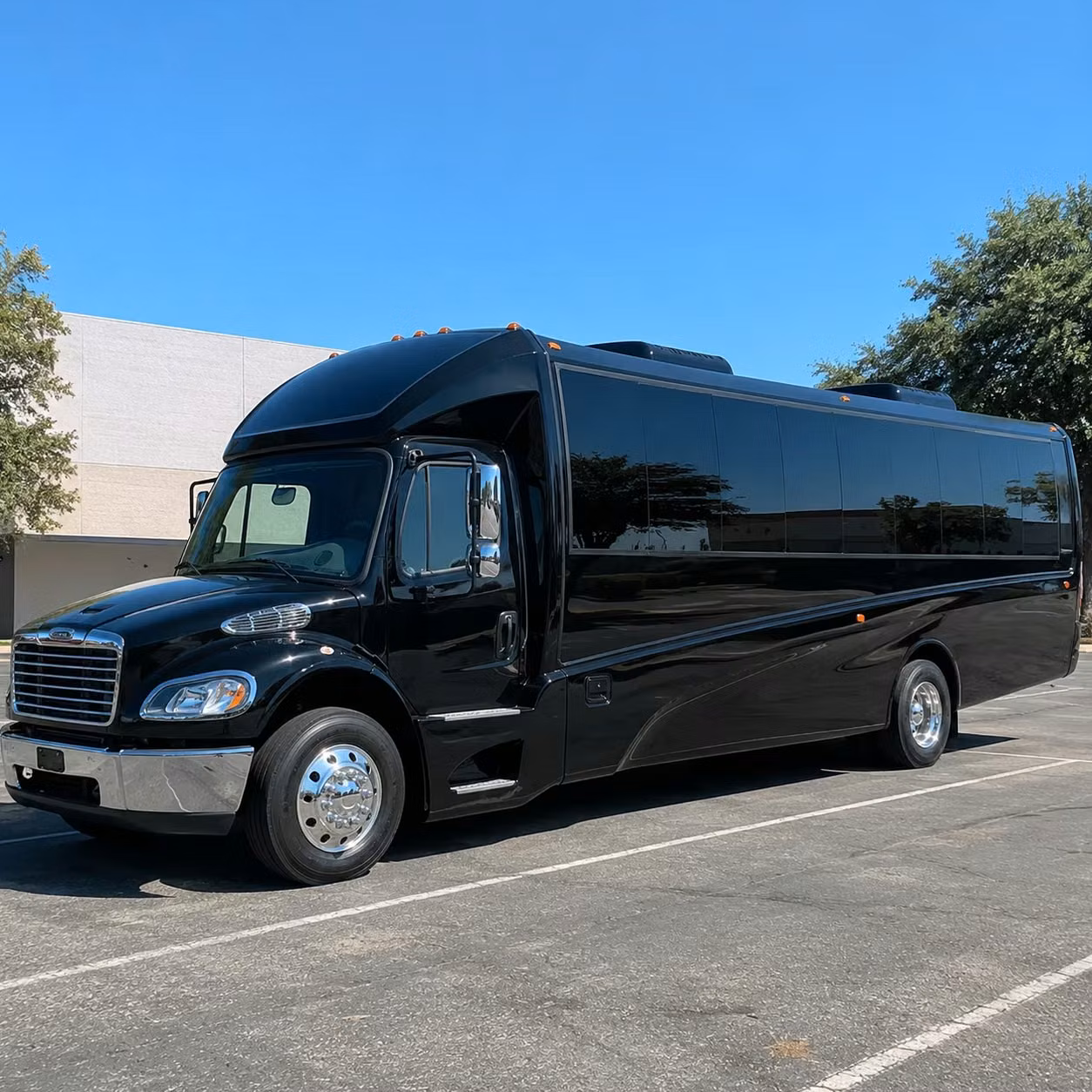 plano 18 passenger minibus rental