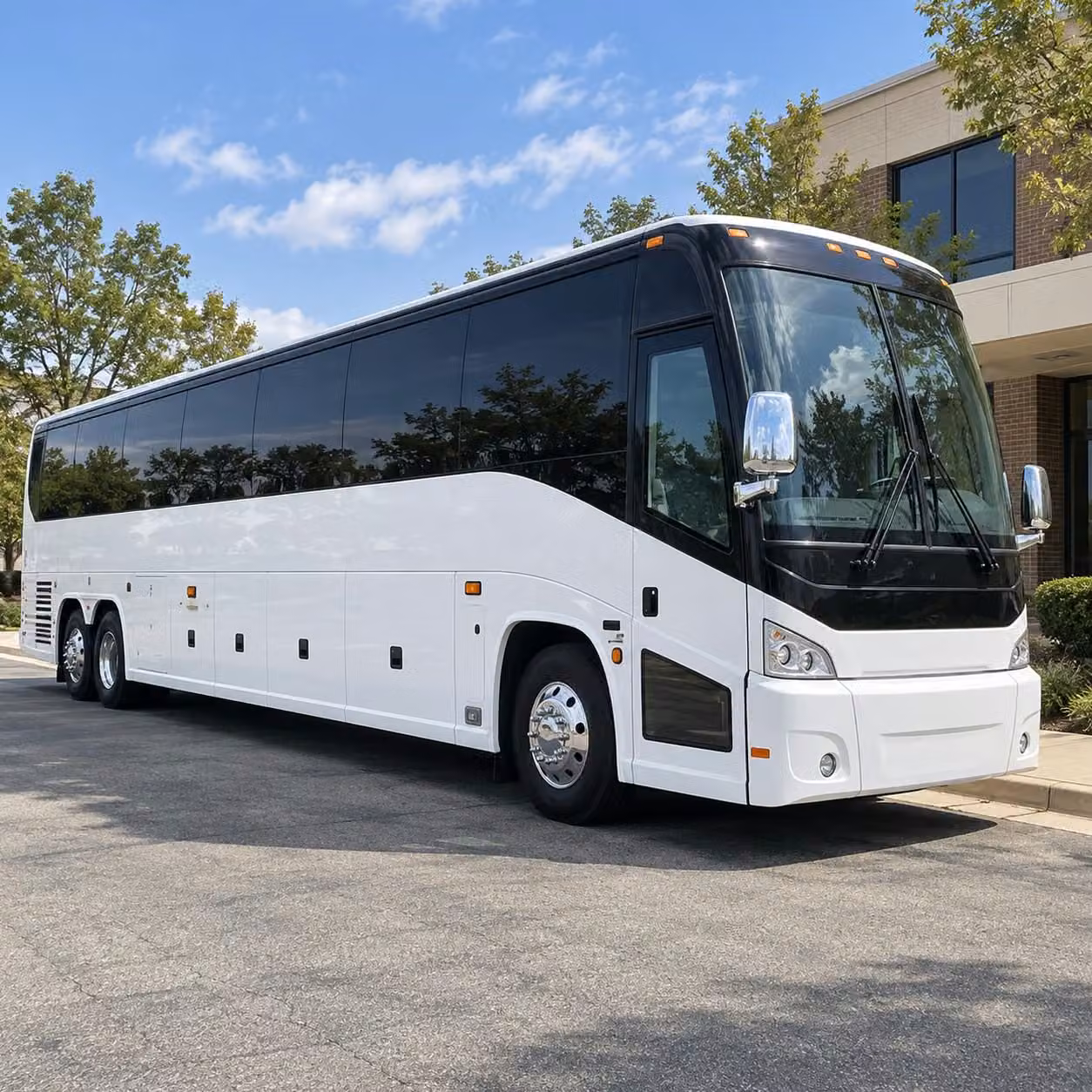 with charterbusrentalplanotx com you ll find transportation for plano youth groups visiting the heard natural science museum